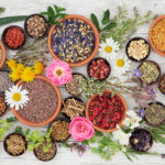 Large medicinal herb and flower selection used in natural alternative medicine over distressed wooden background.