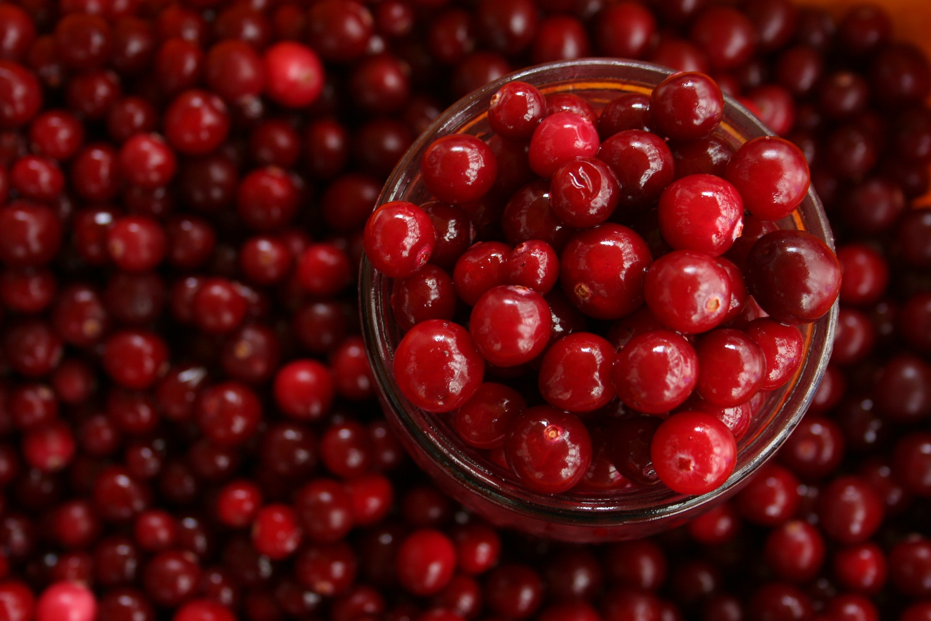 Can You Really Use Cranberry Juice For UTI? - Natural Remedy Project 